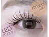 【LED☆パリエク】パリジェンヌ＋フラット60-80本 コーティング仕上げ_11300