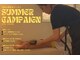 ファン(FAN)の写真