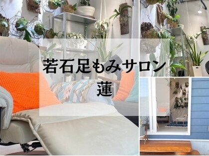 蓮(レン)の写真