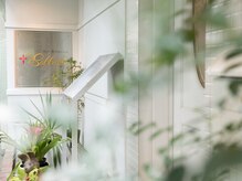 サバス(Sabbath)/入口はこちら(^^♪