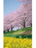 春疲れリセット＊アロマと癒し 心も体もととのう春の癒しコース100分  ¥10300
