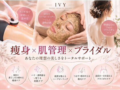 アイビー(IVY)の写真