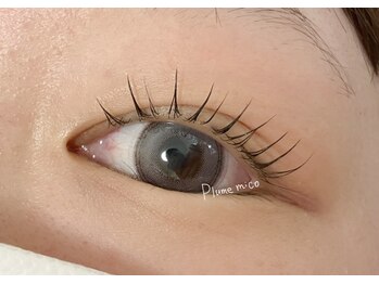 プルームミコ(Plume mico)/まつ毛パーマ～フラットタイプ～