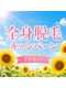 ケイ(K)の写真/【脱毛を早く終わらせたい】90%の方がリピートしたくなる◎通いやすいプラン有り/今だけ顔脱毛半額