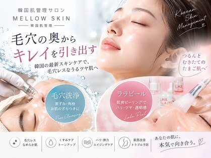 メロウスキン(MELLOW SKIN)の写真