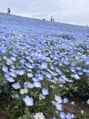 リシェル アイラッシュ 藤沢店(Richelle)&nbsp;お花好きなので春は色んなお花見に行きます♪