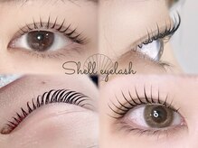 シェルアイラッシュ(Shell eyelash)