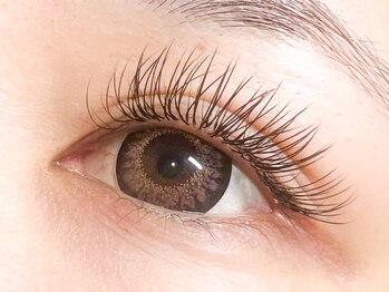 リモア(remoa)/フラットエクステ　合計120本