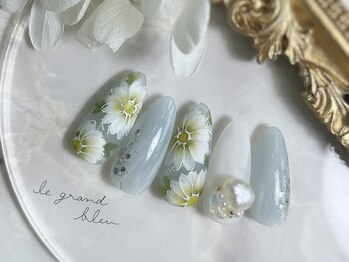 マーガレット【定額C】