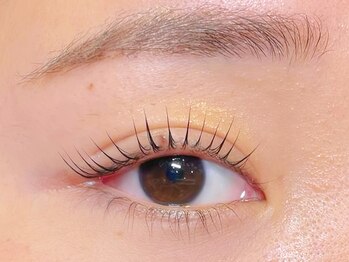 ルシアラッシュブロウ 新宿(LUCIA LASH BROW)/マスカラパーマ