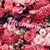 ハーモニー(Harmony)のお店ロゴ