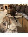 ベルテール 北浜(Belle Terre)&nbsp;猫と犬が大好きです！可愛くて癒されます(*´∇｀*)