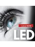 最強/LEDシングルラッシュ100本まで