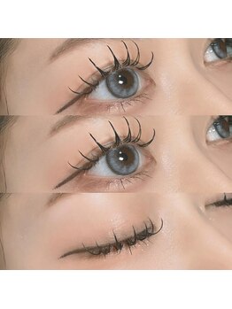 シャルティア(SHALLTIA)/ダブルフラットラッシュ80束