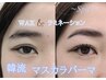【全員】眉毛パーマ（WAXなし・長さ調整カット込)￥4,280