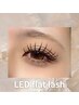 《高持続LED◎まつげエクステ》LEDフラットラッシュ100本¥8400