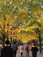 セルフリッシュ 町田店(SELFRISH) 昭和記念公園の紅葉です♪ライトアップ綺麗でした！