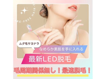 プチサロン ミニョンヌ(Petit Salon Mignonne)の写真