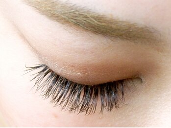 マリー エクラン/フラットラッシュ