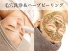 【人気NO1最強毛穴ケア&ニキビケア】ハーブピーリング2ｇ＋毛穴洗浄¥13200