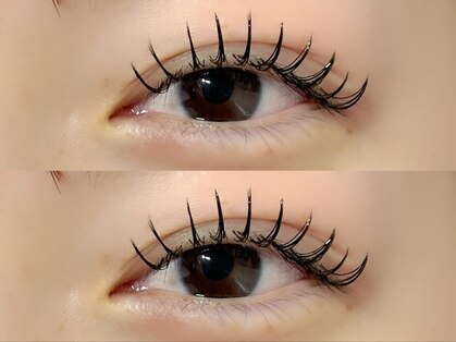 モン(mon)の写真