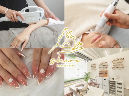 シロ(shiro)の写真