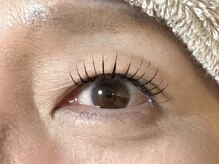 チョキナ(chokina.)/フラットラッシュ120本