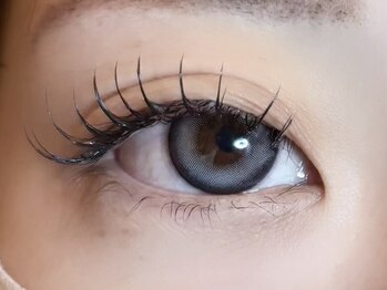 ナナ 福岡(NANA)/フラットラッシュ120本