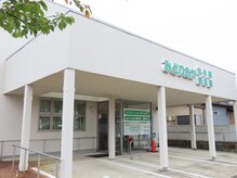 スパイリーア(Spiraea)/