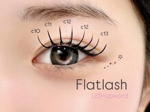エクラートアイ アンド ローレル 池袋店(ECLART eye&Laurel)/【LED】フラットラッシュ♪