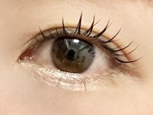 シープ(Sheep)/アンドヘルシーフラット120本