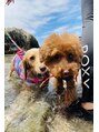 アーユル ビューティック(Ayur Beautique) 大の犬好き。私の人生にワンコの居ないlifeは考えられない。笑
