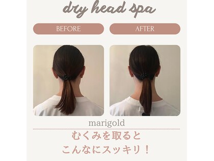 マリーゴールド(marigold)の写真