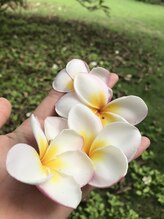 ハワイアンフォレストSpa 草加店&nbsp;清野 