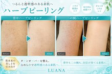 ルアナ 柏本店(LUANA)
