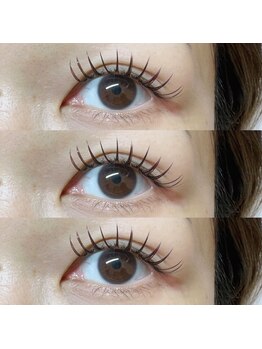 アイラッシュ ベイビーステップ(Eyelash Baby step)/バインドロック100束