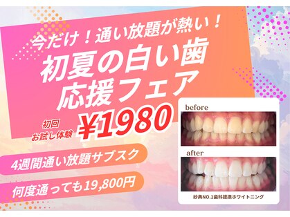 ホワイトニングビューティー 市川妙典店の写真