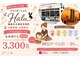 ハル(Halu)の写真