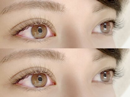 メヴィ(Mavie)の写真