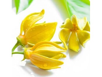 アジアンリラクゼーション ヴィラ 川越店(asian relaxation villa)/アロマリンパ