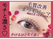 美アイズ リッチラッシュ(Rich Lash)