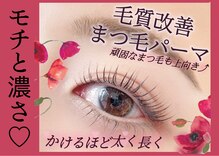 美アイズ リッチラッシュ(Rich Lash)