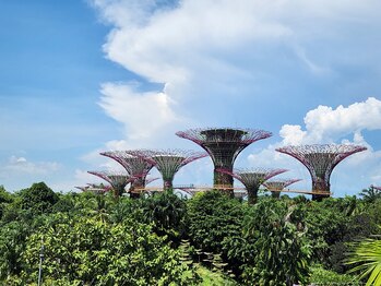 ユウキシキ(YUKISIKI)/YUKISIKI小顔矯正&美容鍼海外OFF