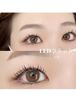 エヌドットサロン(N.salon)/【LED】上下 フラット120本 