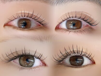 ロロルーム(Rolo room)の写真