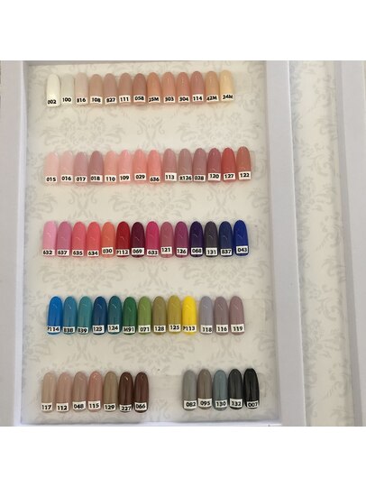 カラーチャート1：PG003121185｜ケンタネイル(kenta nail)のフォト 