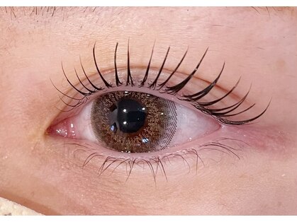 ル ルポ(Le repos)の写真