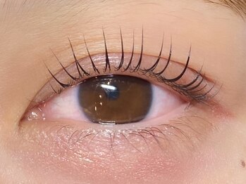 カクテル(COCKTAIL)の写真/【垂水駅徒歩1分】ナチュラルだけどパッチリ目元を叶えるサロン☆大人気パリジェンヌラッシュリフトも!