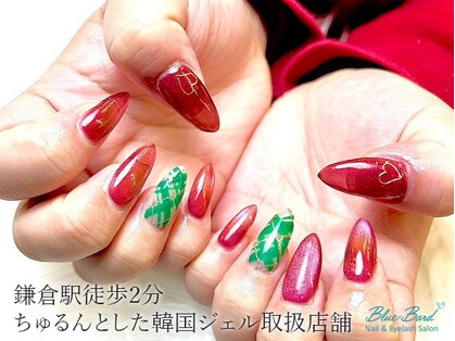 ブルーバード(BLUE BARD)の写真