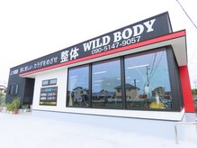 ワイルドボディ(WILD BODY)